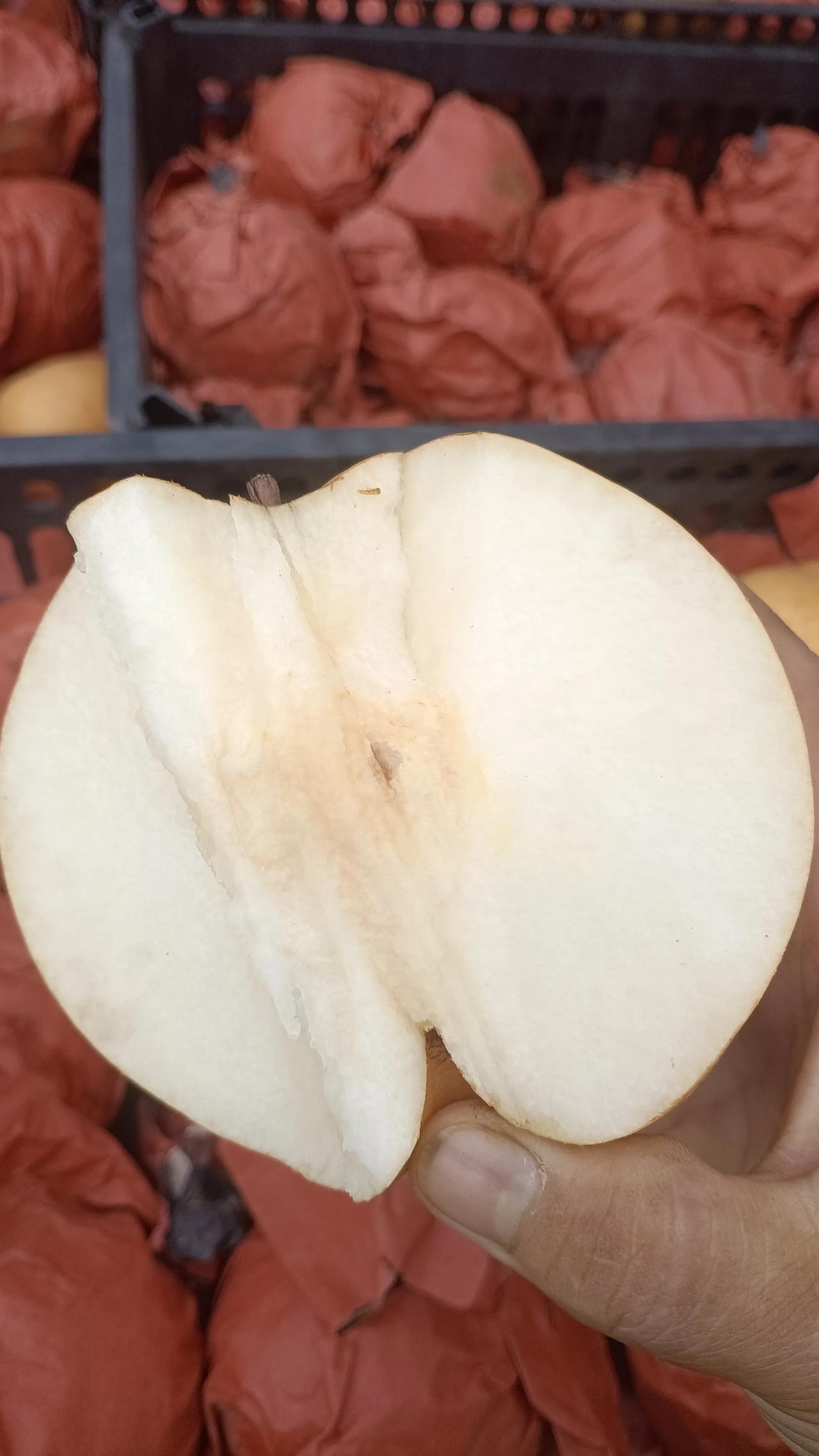 第一次赶集摆摊卖水果，踩坑了，梨子选的太大了，大的有一斤二两左右[捂脸][捂脸]