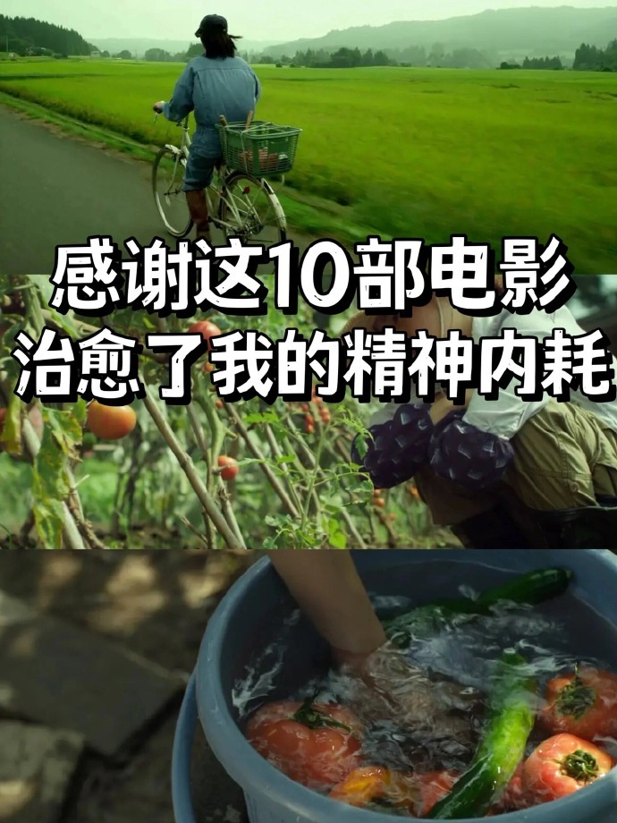 超适合睡前宅家放松看的🔟部解压治愈电影🎬 