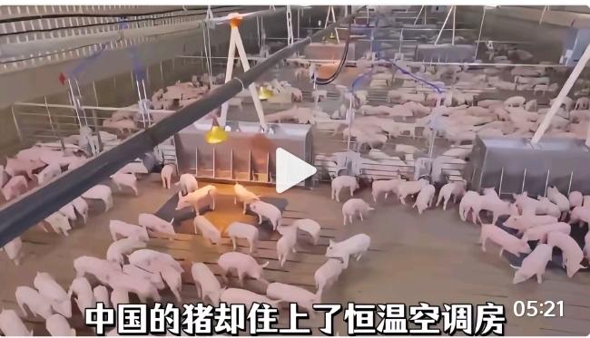 高温就是一块照妖镜，照出法国一个老牌资本主义发达国家的底子，走到今天，在高温的突