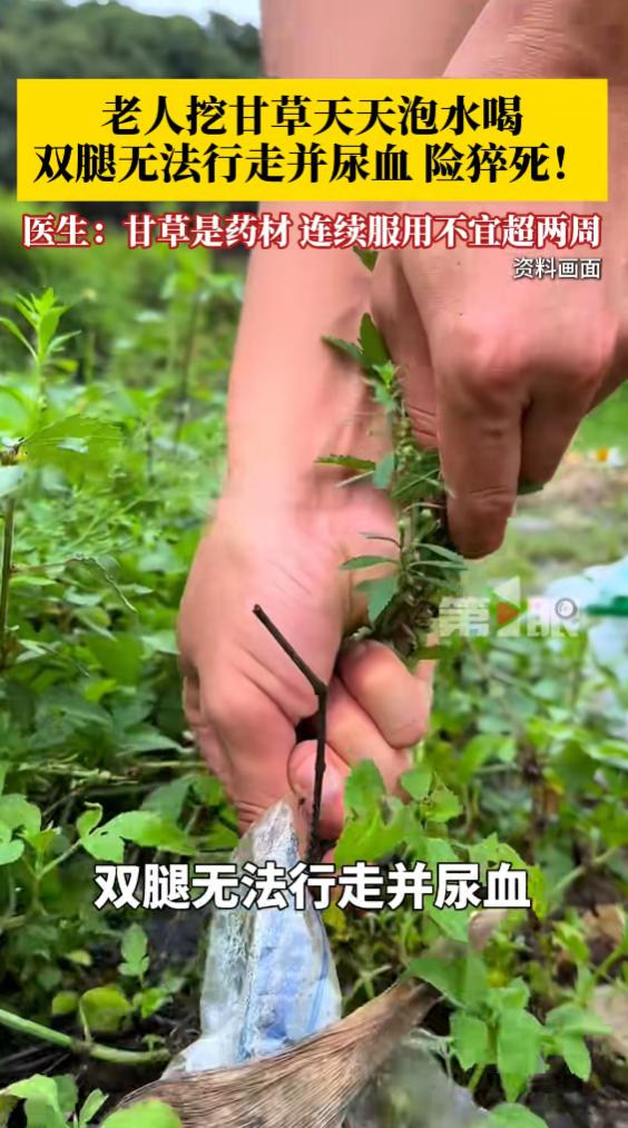 “悲剧还是发生了！”陕西，一位退休老人认为甘草水可以养生，就自己在外挖取新鲜甘草