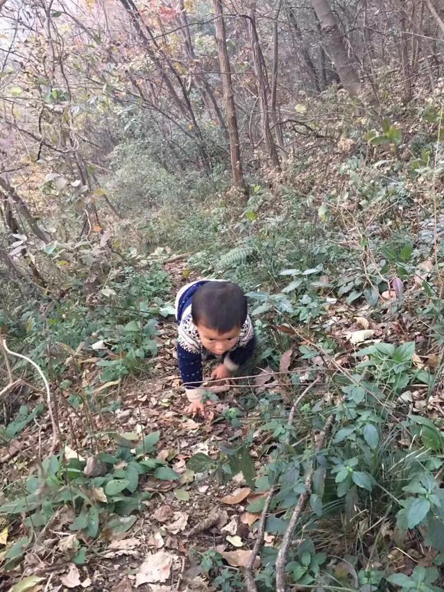 忆杭州·大陈山

在杭州生活的六年里，有一座山，绝大多数杭州人可能都没听说过，叫
