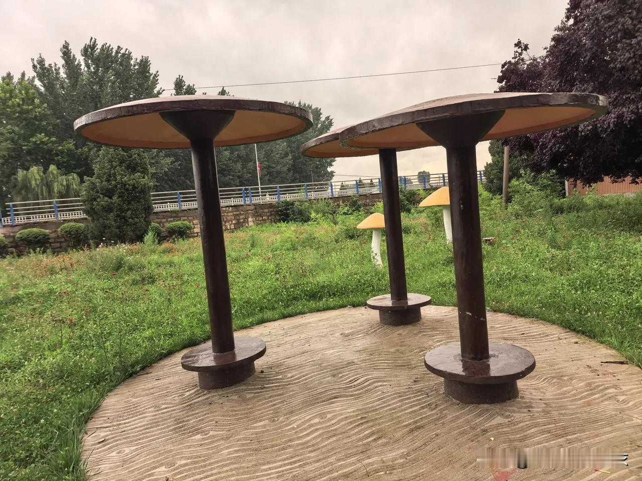 上小学的时候，老师和家长都交代过这样一句话：平时要多和学习比你好的人玩，千万不要