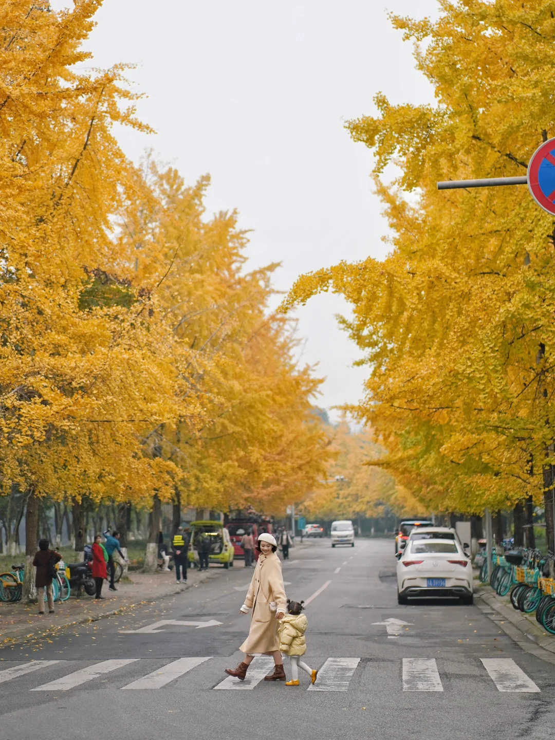 亲子户外|成都升仙湖的晚秋绝美！🍂