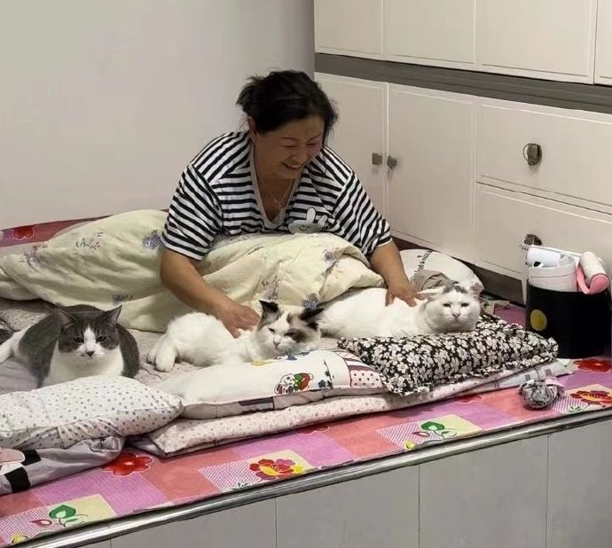  全国统一家庭伦理剧之：是谁真香了 ​​​