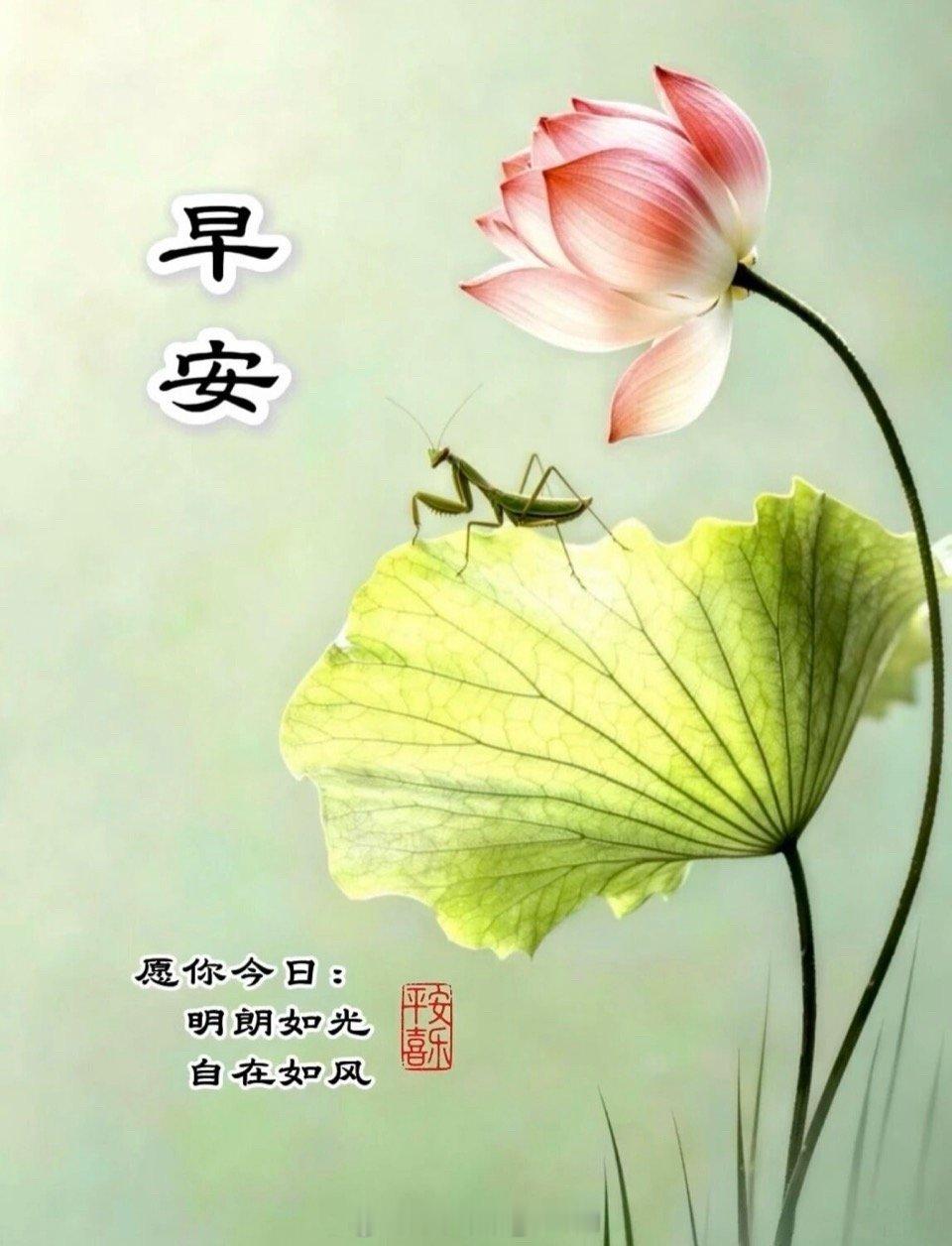 一个人的生活语录[超话] 早安，今天是8月28日，星期五。人生有得有失，生活有起