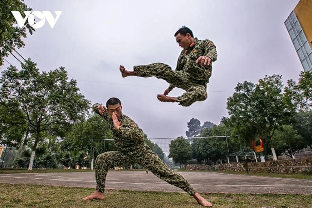 越南特工队成立于1967年，是一支组织专门、装备精良、训练有素、作战方式灵活、大