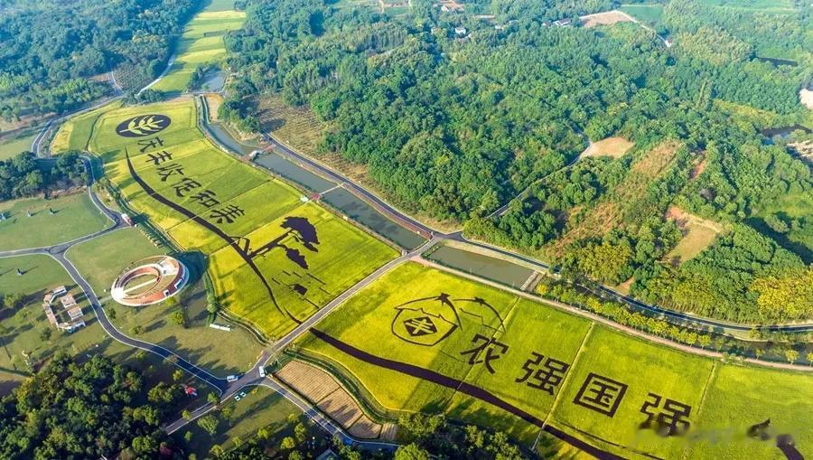 时光的车轮碾过一道深深的痕迹,留下金秋的收获,丹桂飘香,秋风送爽。

还有一周就