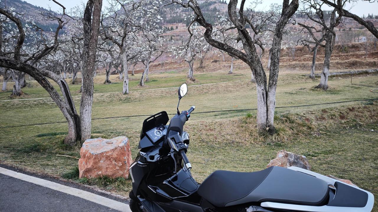 水城梨园遛一圈