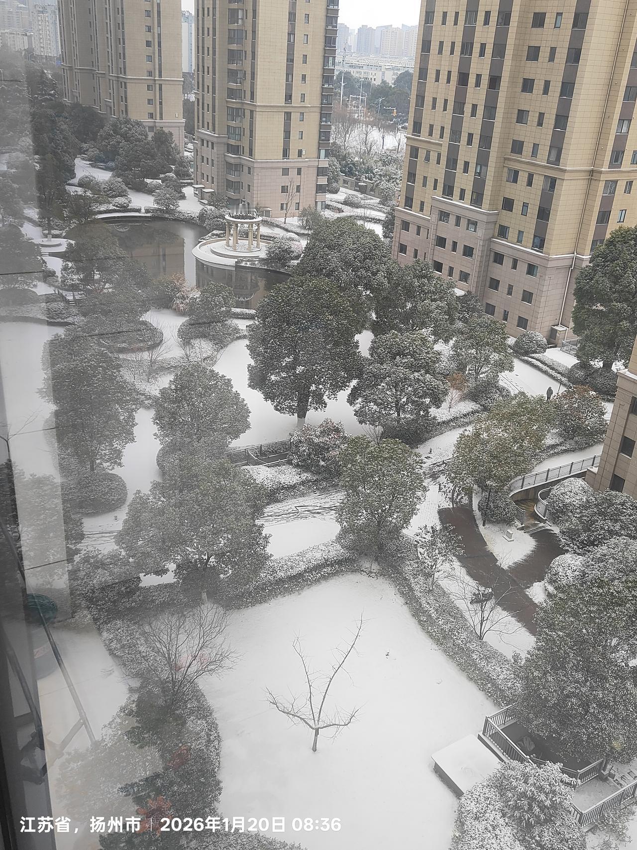 在东北除非下刀子才停课。但在南方一场难得的轻描淡写的小雪能让小学幼儿园停课一天。