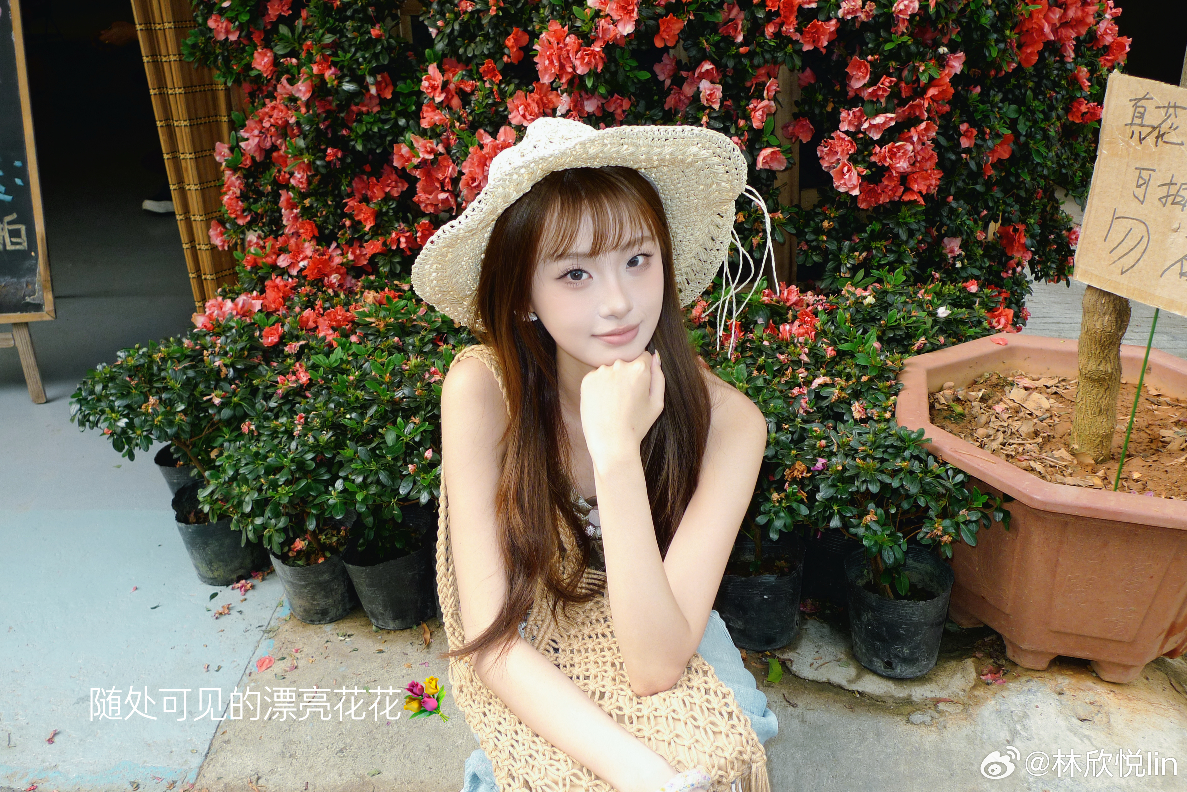 在曼贺纳的下午🌴🐘/好喜欢曼贺纳的氛围美丽的小村寨让人感觉很放松舒适拿着8r