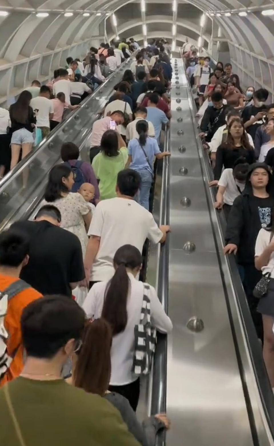 今年35岁，我在深圳单身第7年，活成了一座彻头彻尾的孤岛。没人等我回家，没什么社