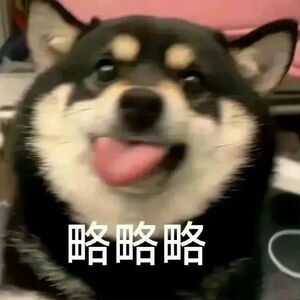 再告诉你们一个秘密 其实我是直男 ​​​