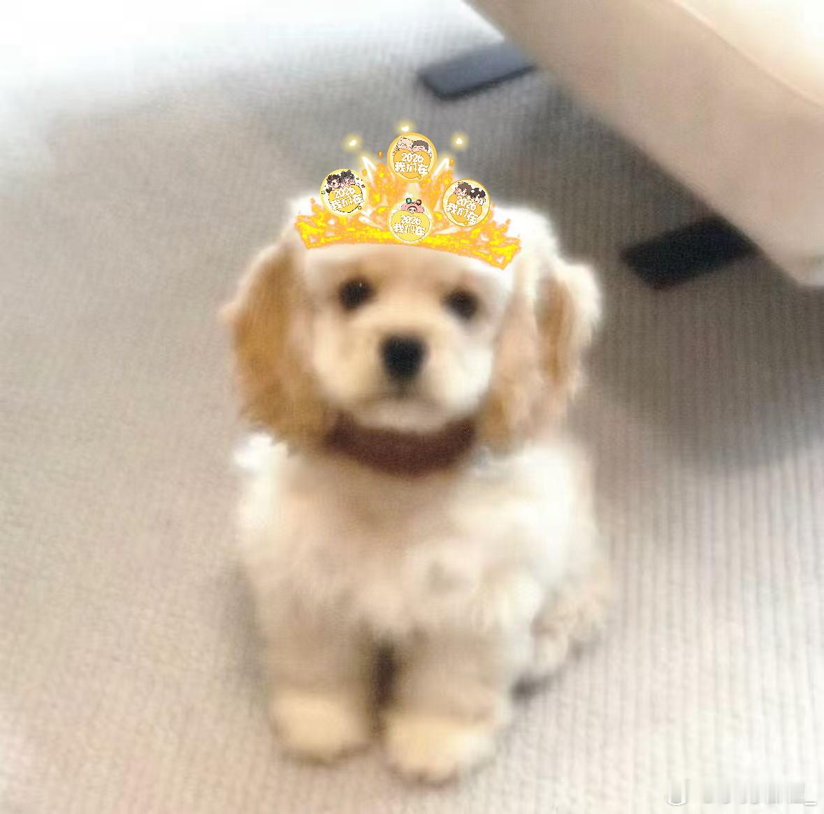 牛家堡特别制作哟