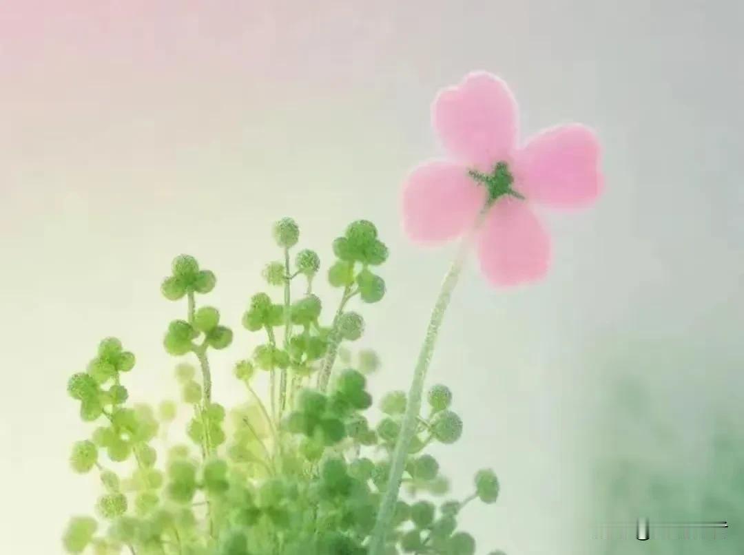 快来看看我新换的主页背景吧