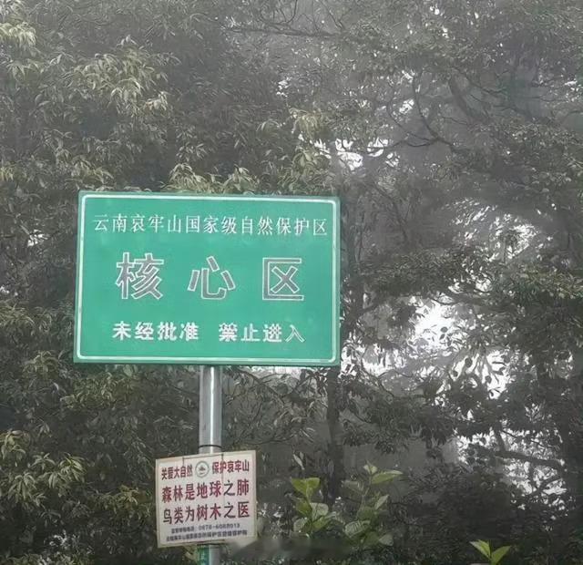 #哀牢山曾发生多起人员失联遇难# 真的要谨慎！注意安全！！做好保护措施！不要失联