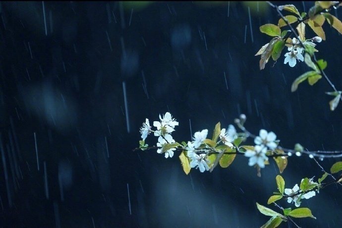 那些关于雨最美好的句子~1.雨声潺潺，像住在溪边，宁愿天天下雨，以为你只是因为下