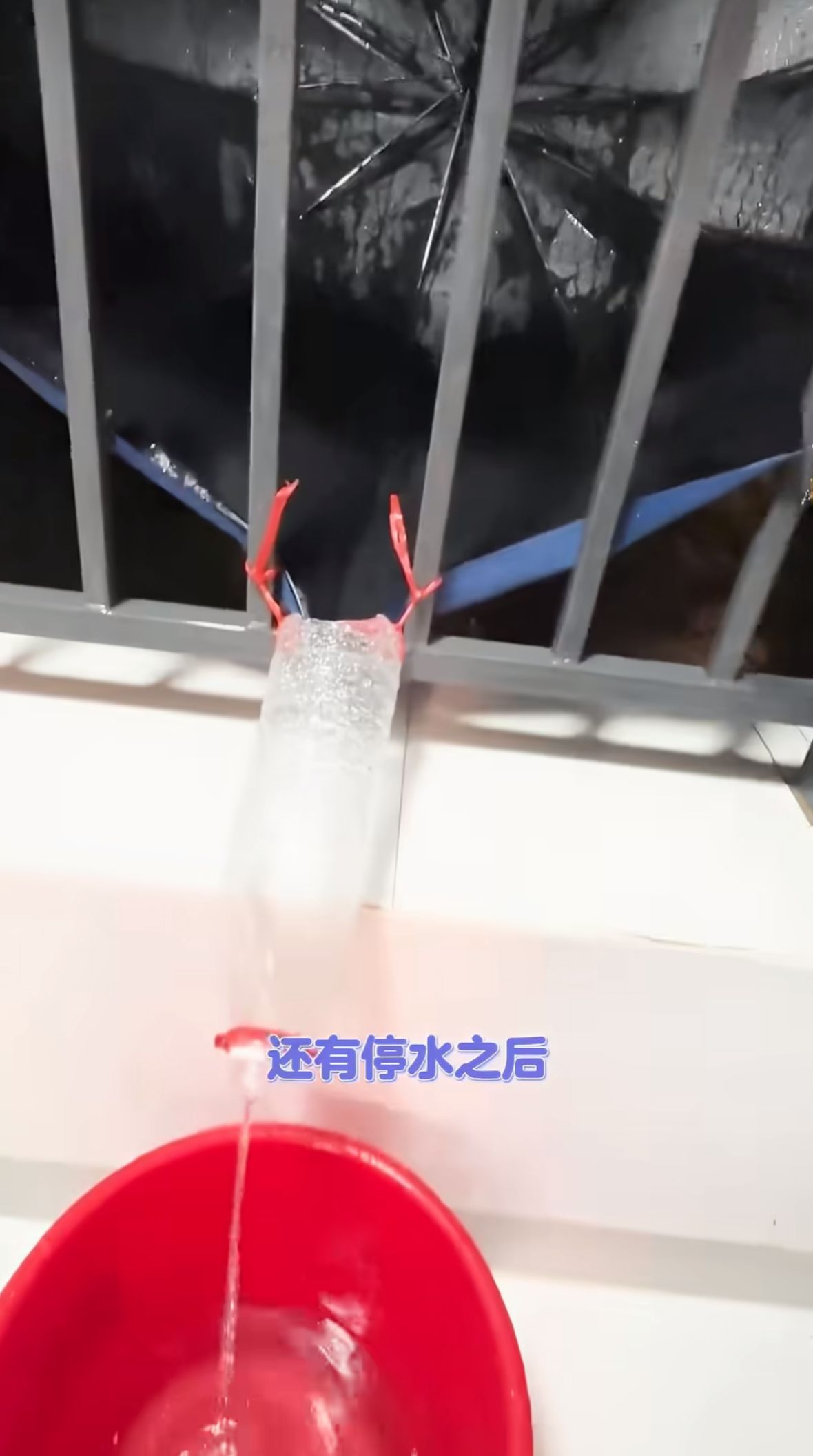 第一次见有人撸台风羊毛真的要被江浙沪朋友笑死了，别人台风天囤水囤粮，他们提前给窗