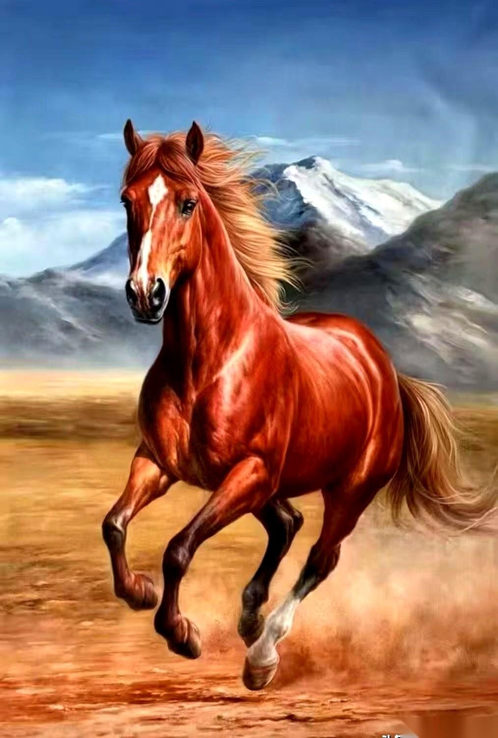 刷到说66年属马的，明年就六十了。
我脑子嗡一下。
感觉昨天他们还是单位里挑大梁