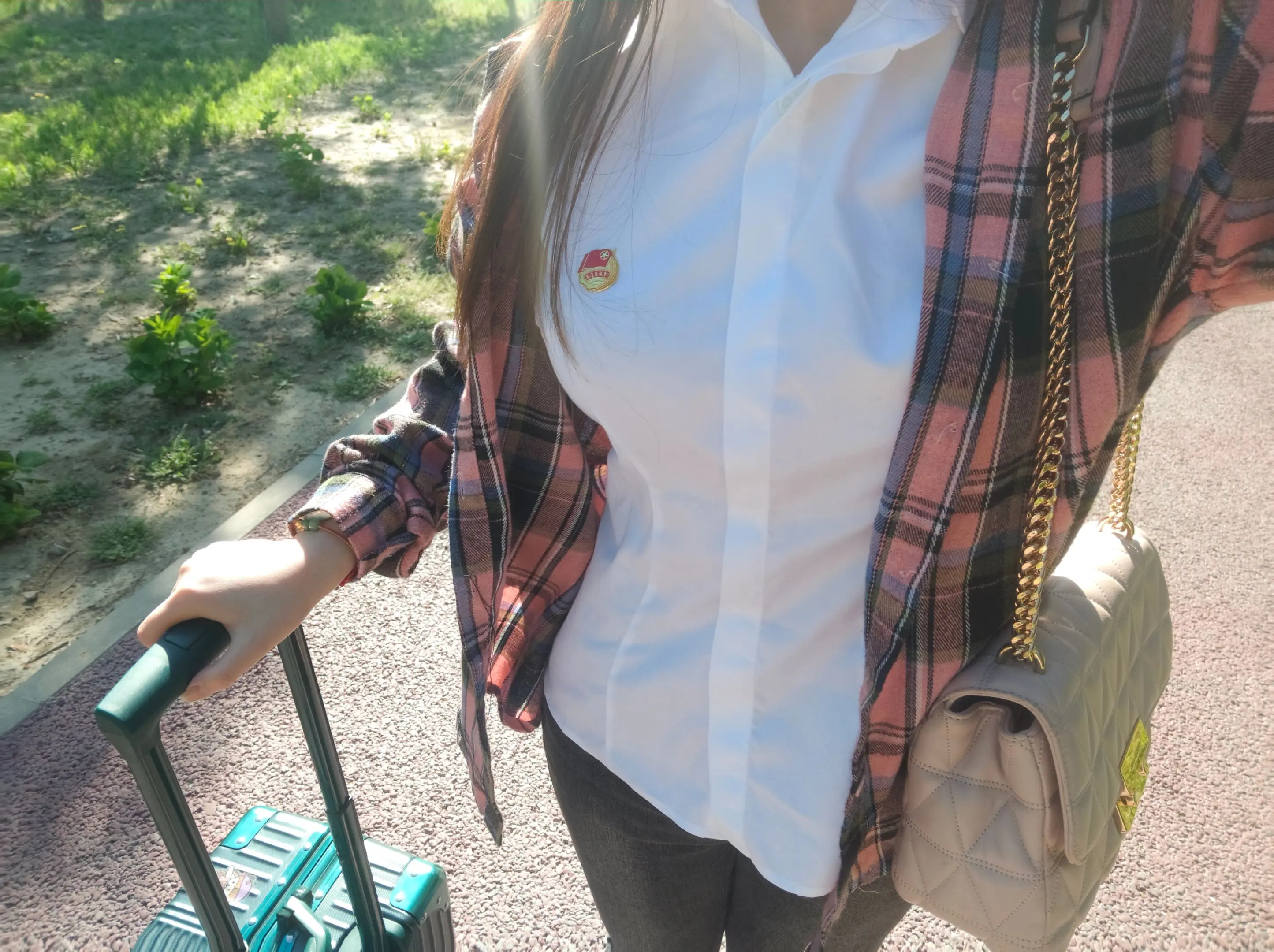 阳光与顽强的生命力