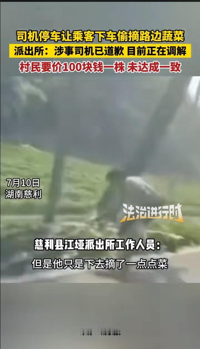 湖南慈利县，一客运中巴车司机胆忒肥，光天化日，竟把车违停在乡间公路边，直接指挥车