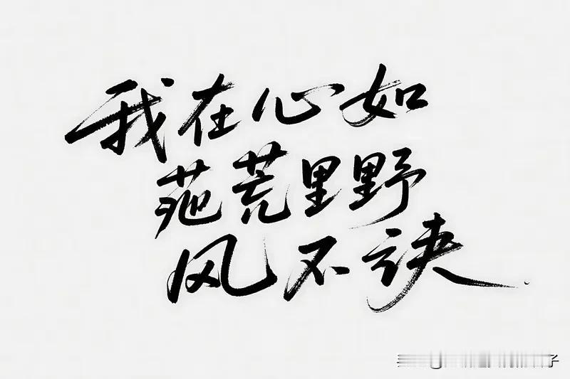 豪迈诗句总能让人热血沸腾。像钟雅琼的《七律·喀喇昆仑英雄赞》“边关冷月照英魂，赤