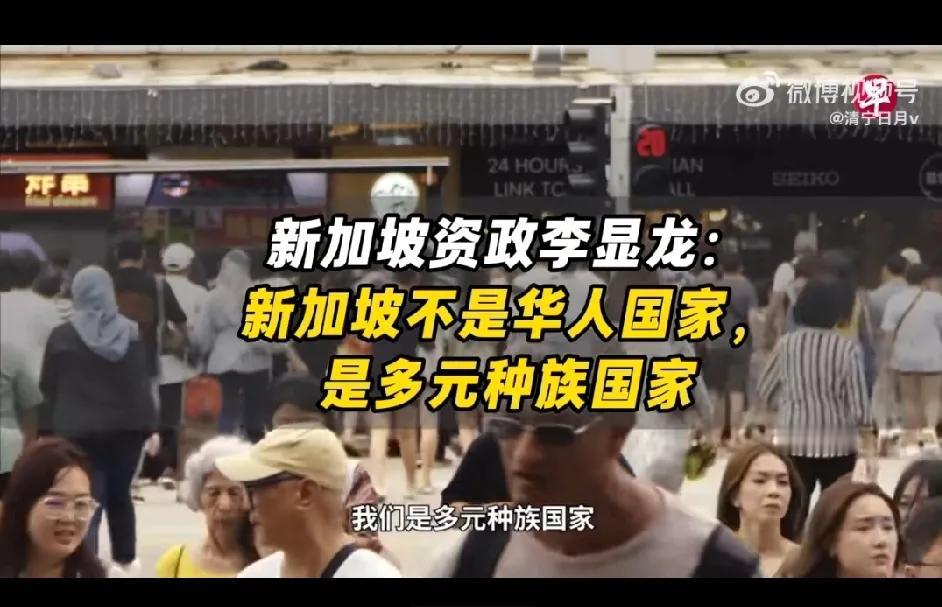 新加坡资政李显龙：新加坡不是华人国家，是多元种族国家。

李显龙说：我们（新加坡