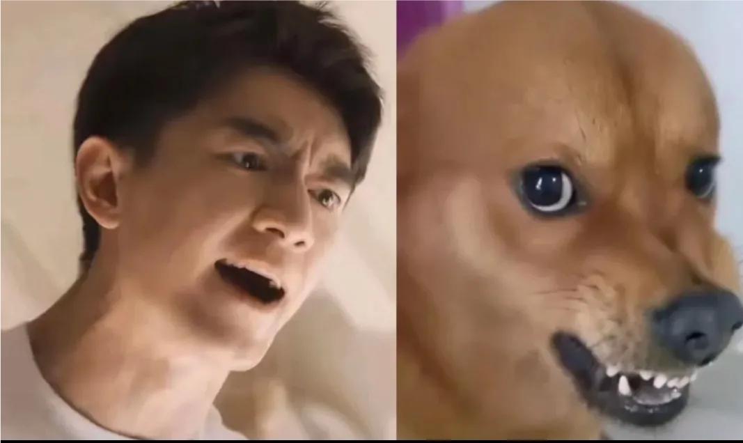 这个男人太惨了，活该！靠欺骗得来的感情，最终会输个精光！

女人长得非常漂亮，而