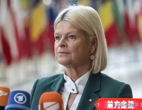 奥地利传来消息
4月2日，奥地利国防部突然宣布：拒绝美国“多次”提出的使用其领空