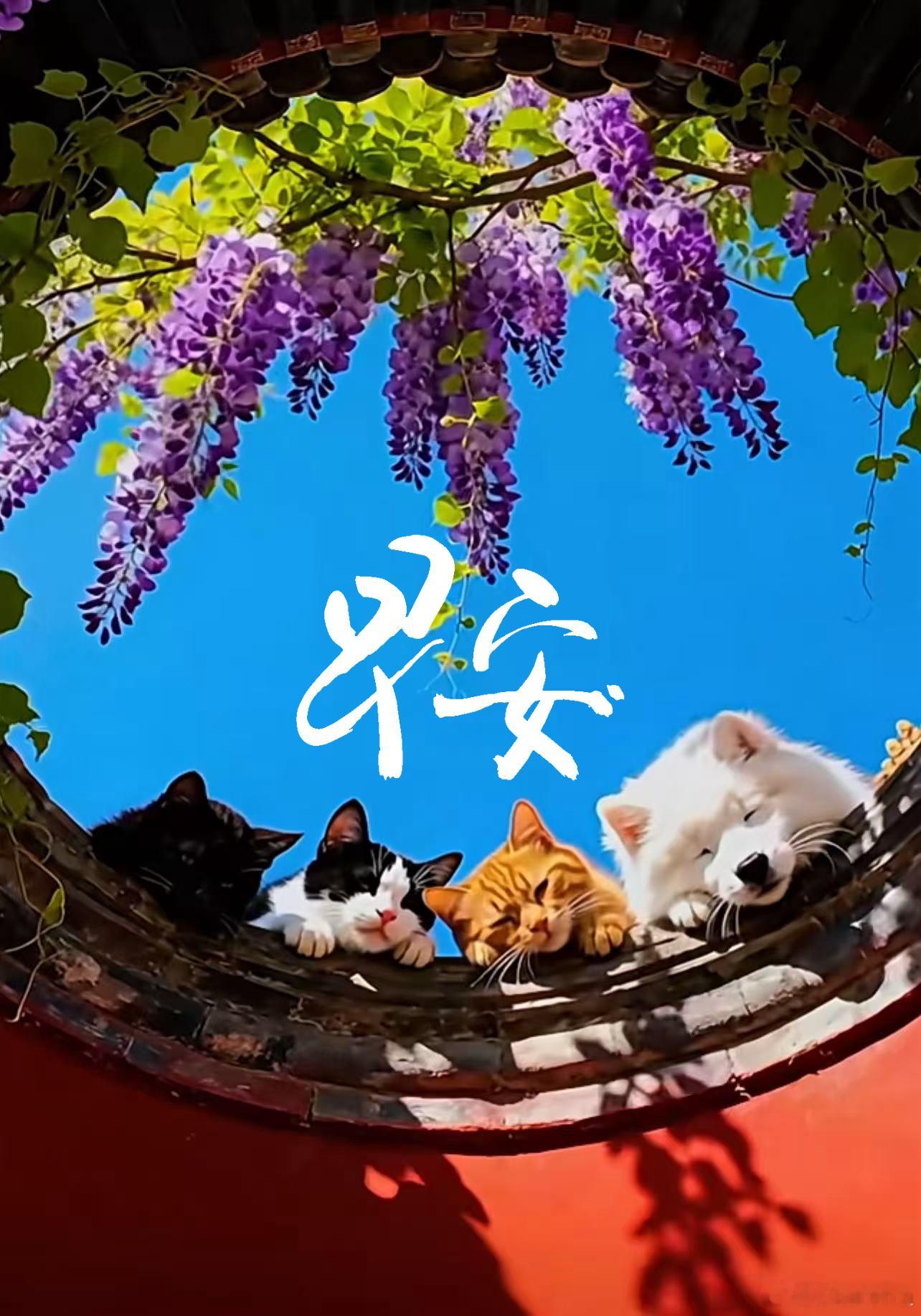 王一博[超话]王一博寻护者亮相金鸡 ·青年演员王一博 早安💚 ​​​