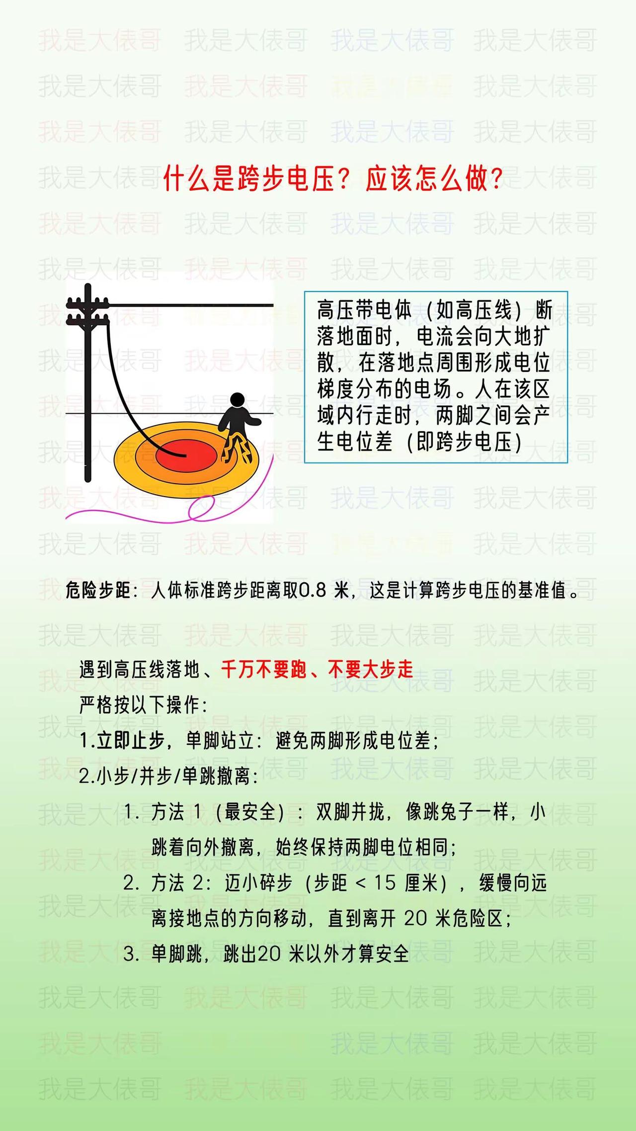 什么是跨步电压？怎么做才安全。电工知识 每天跟我涨知识
