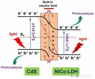 核壳结构CdS/NCL半导体光催化剂合成研究
本文采用将NiCo-LDH作为核心