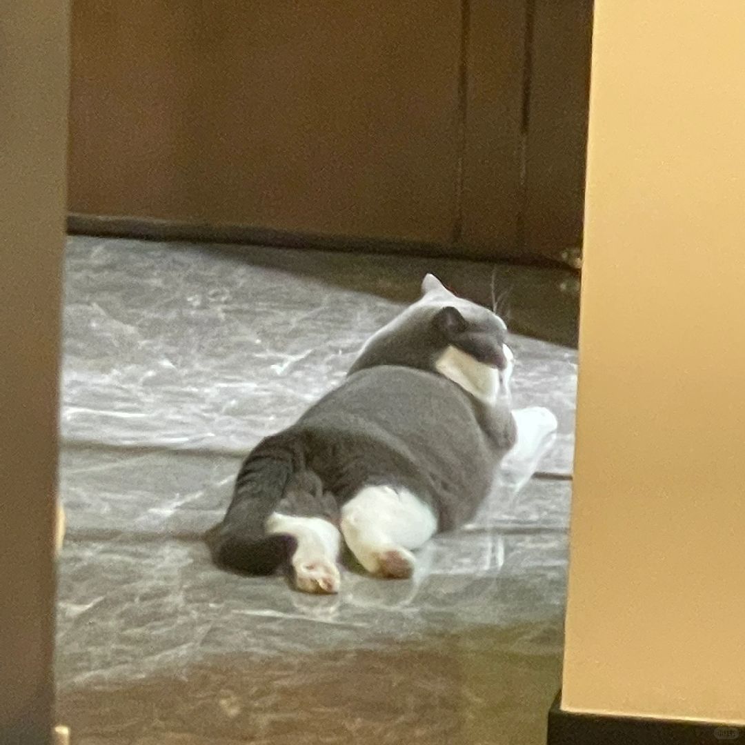 加厚珊瑚绒