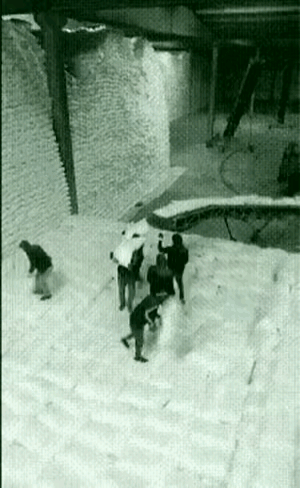 这一幕，令人心酸！
在一个工厂监控视频之下，几个工人几乎毫不停留的扛着工厂的化肥