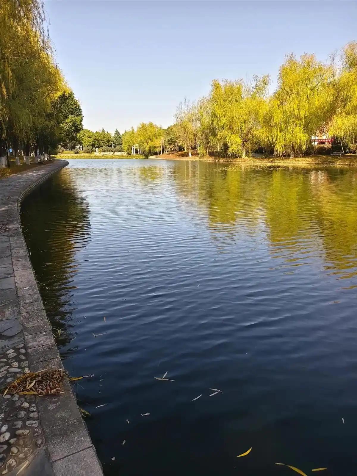 12月8日晚上，在位于芜湖的安徽工程大学里，一名大学生在校园内参加学生组织的线下