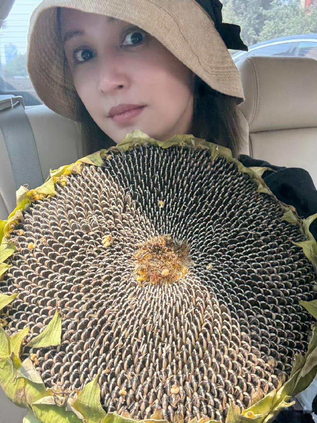 哈哈哈，袁弘也太实在了。
张歆艺追剧想嗑瓜子，结果袁弘直接给她买了一个新鲜的葵花
