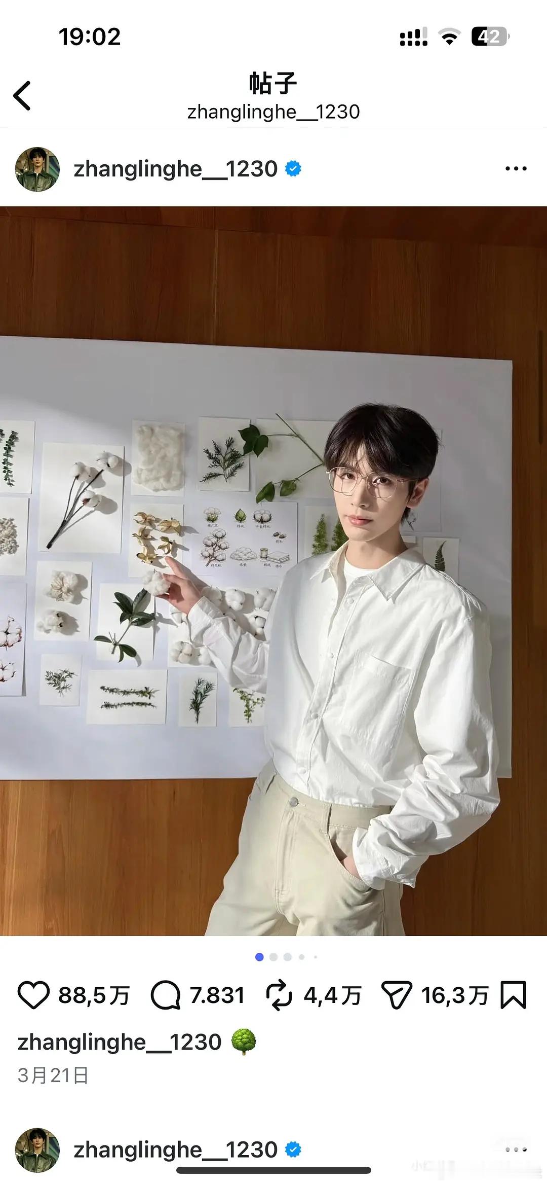 zlh这张像整容失败了 