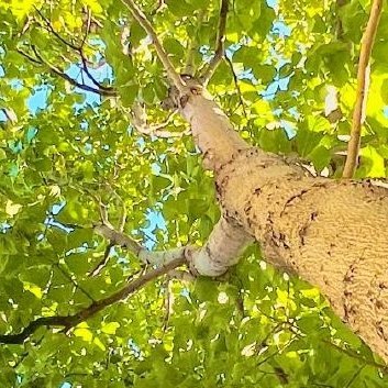 每日一善‎每日一善 ‎阳光‎信用 人人存善念，并能日行一善，则个人、家庭、社会一