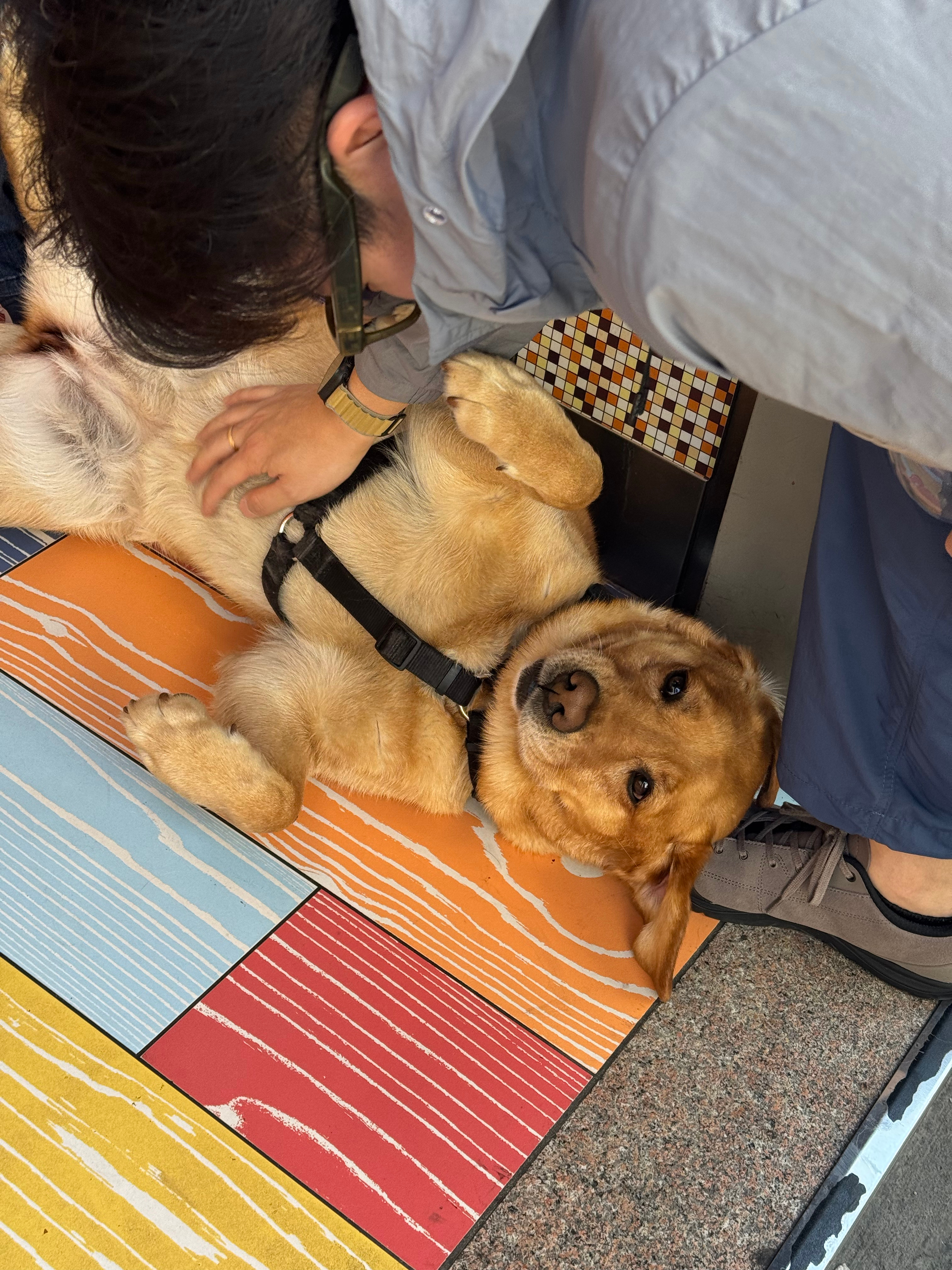 虽然语言不通，但狗和狗主人应该明白了我的意思，我也感受到了狗的回应。 