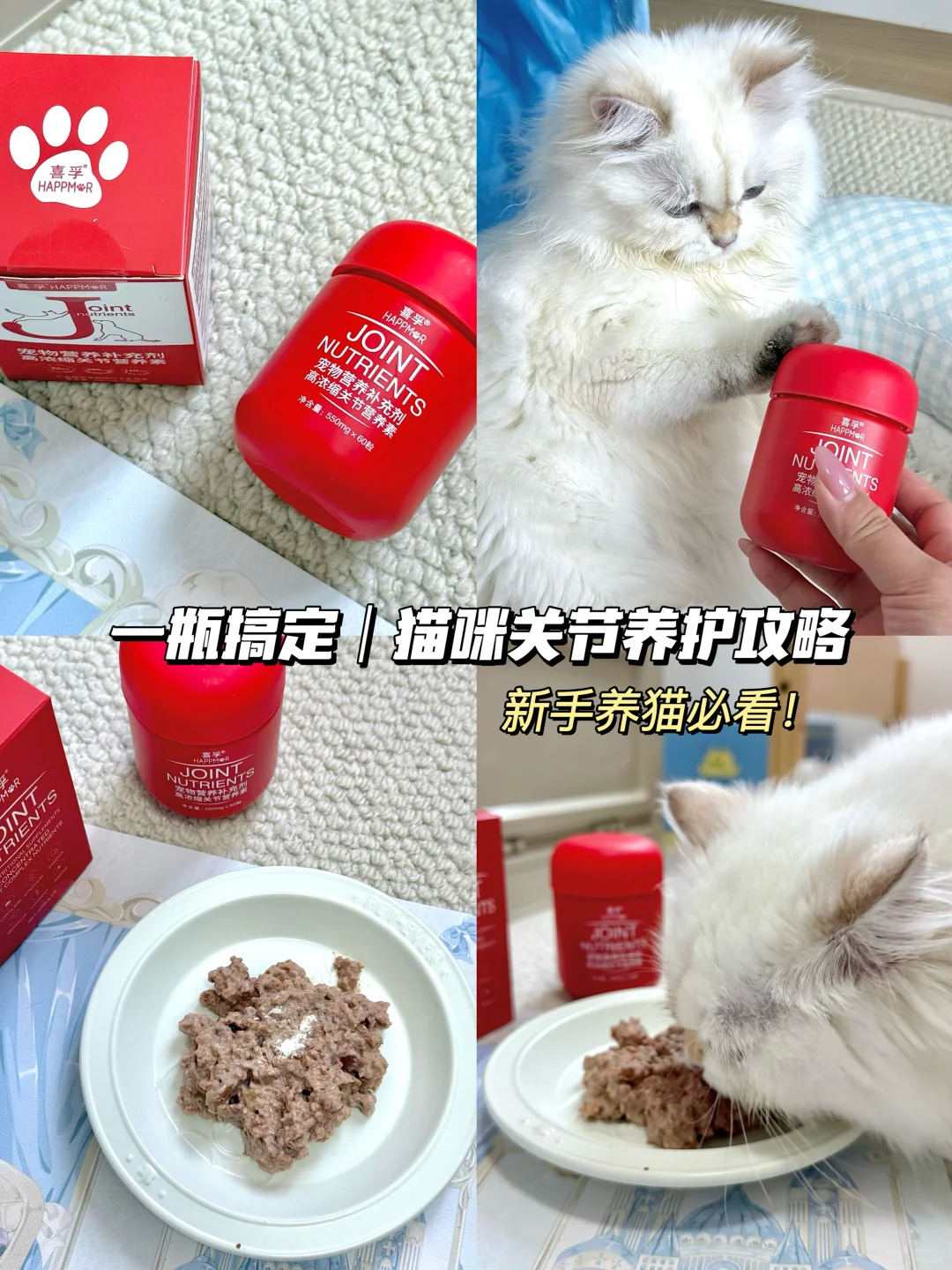 猫咪关节养护攻略 关节健康也很重要哦～