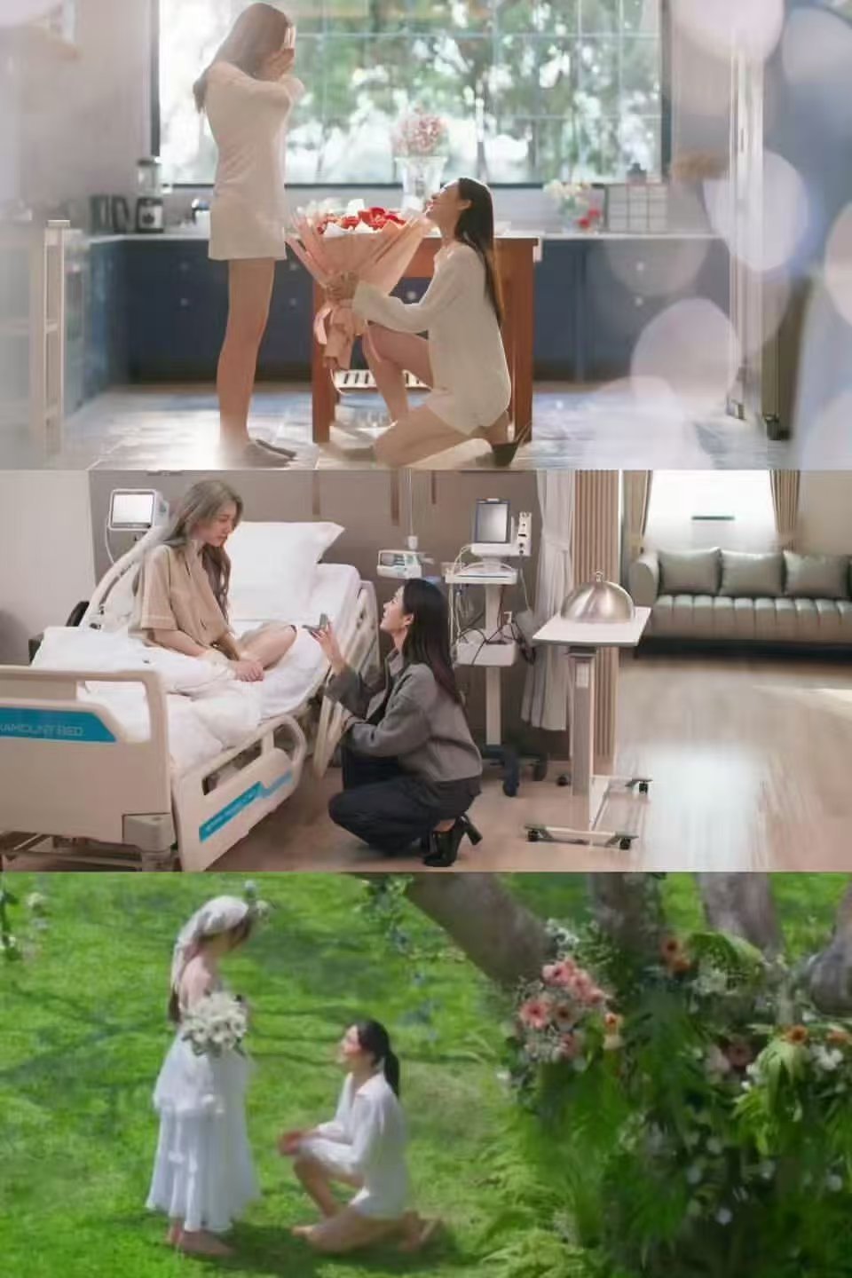 😽第三次了嗷 