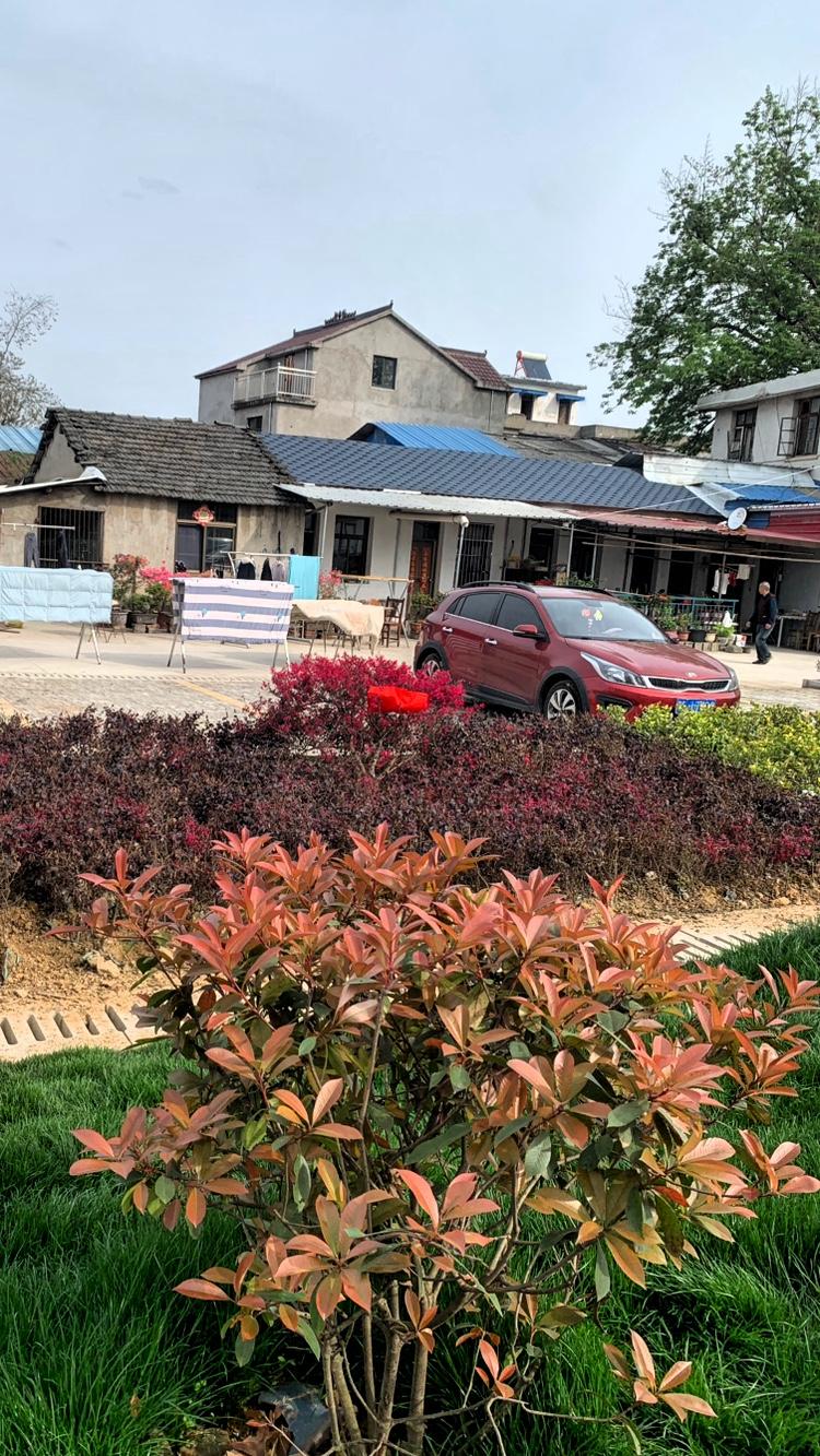 大家是否察觉到一个奇特的现象？
在街上饭店里吃喝的人，
几乎都是单身汉。
他们年