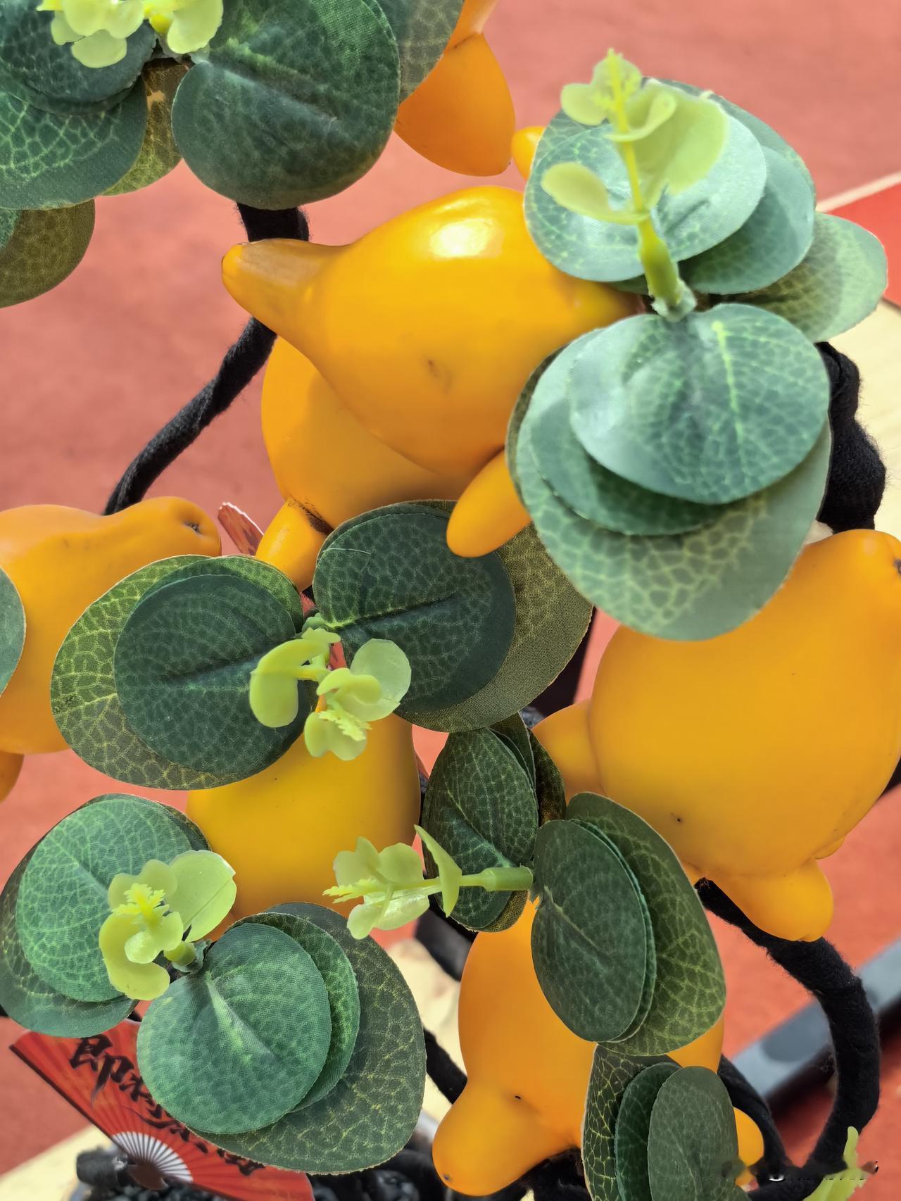 这是齐天大圣偷吃的人参果吗？