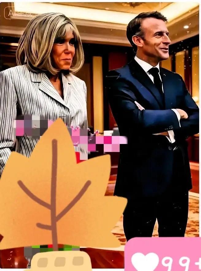 就在刚刚
法国总统马克龙宣布
​欧盟对中国实施最严厉制裁，核心原因是中国对稀土实