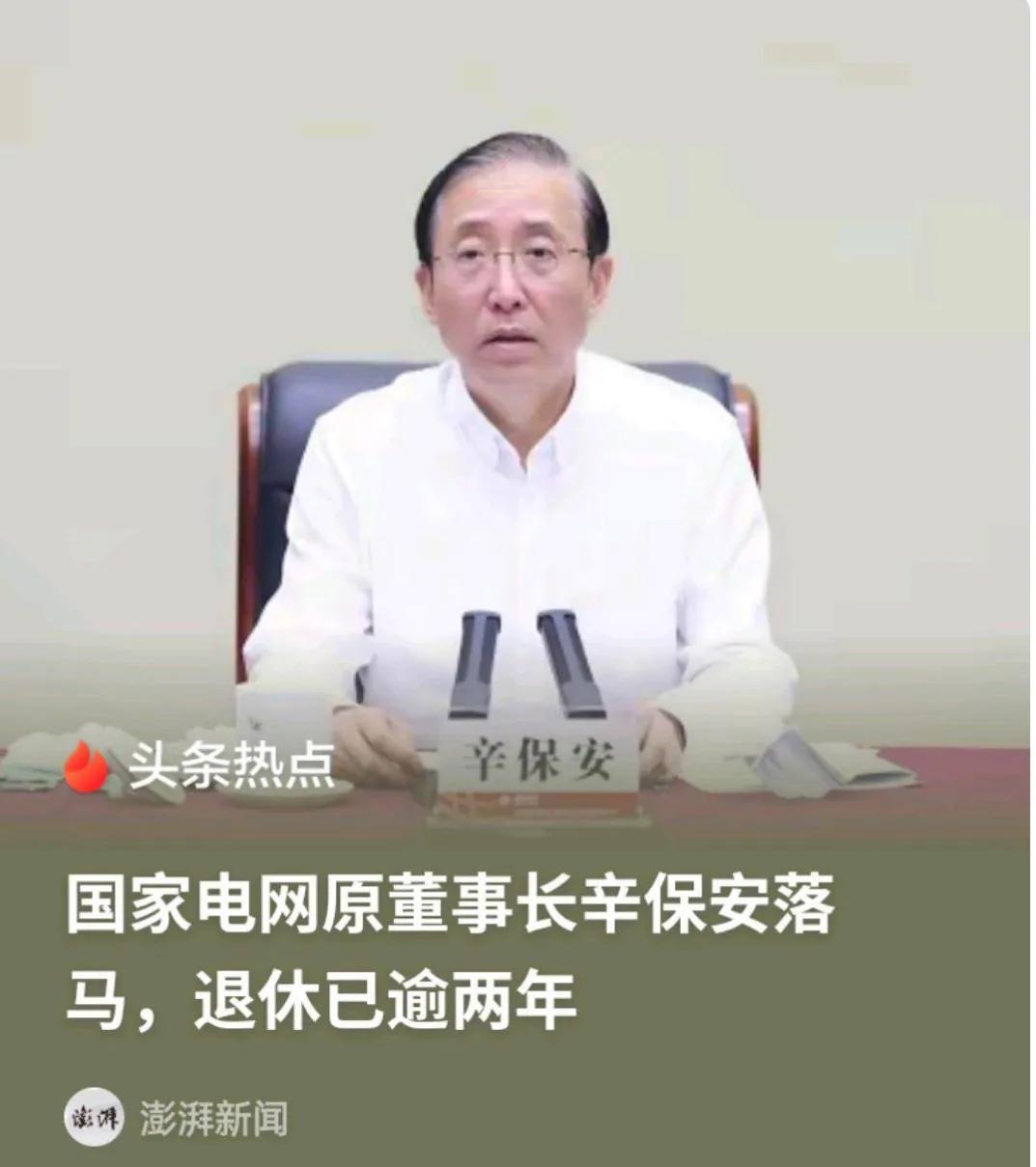 7月26日，辛保安在杭州电力主题日活动的讲台上，以中电联理事长、全球能源互联网发
