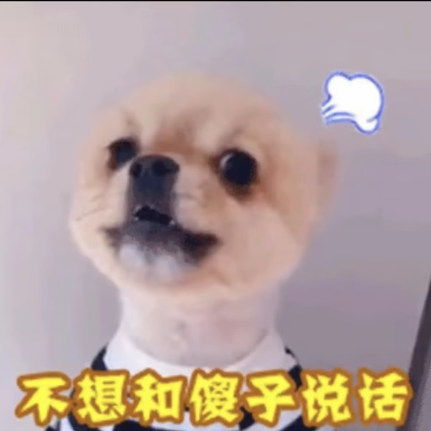 分享图片 