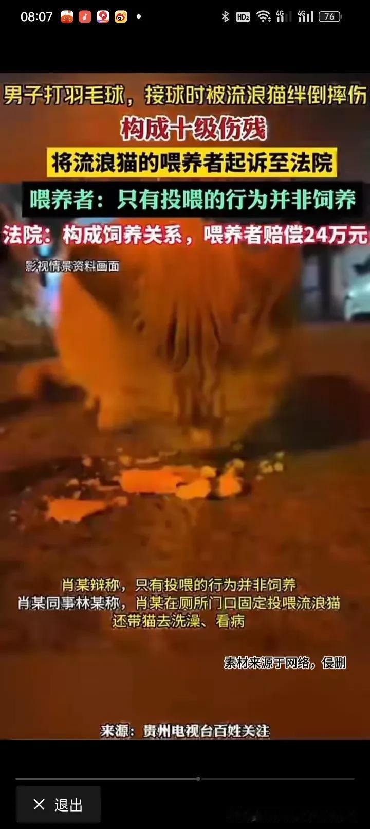 抖音头条热搜7：男子打羽毛球被流浪猫绊倒成10级伤残，将其喂养流浪猫的肖某告上法
