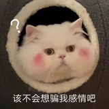 敏花爱谈汽车