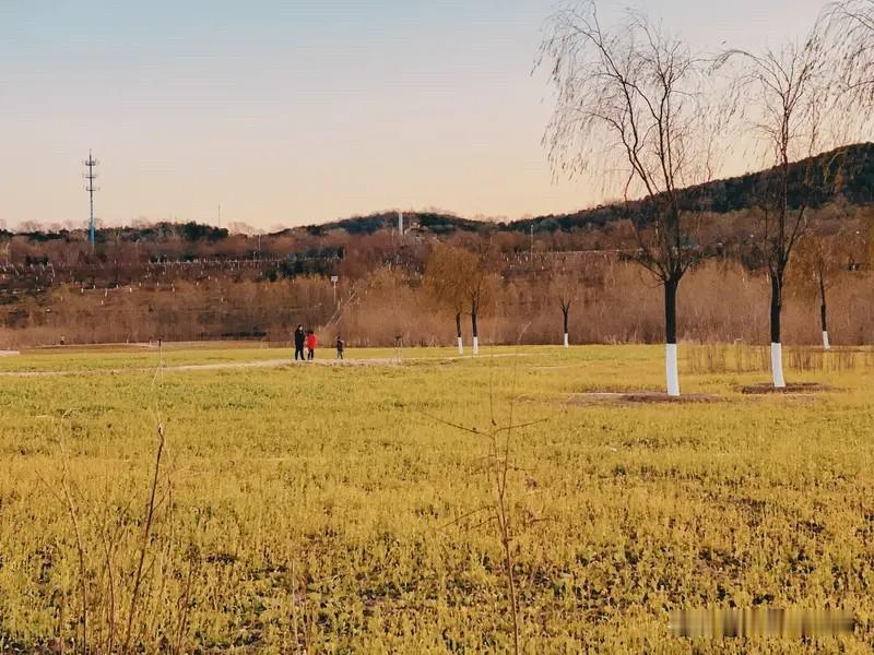 春风得意马疾驰，正是一年踏青时。
山河万里皆春色，不负韶华不负卿。