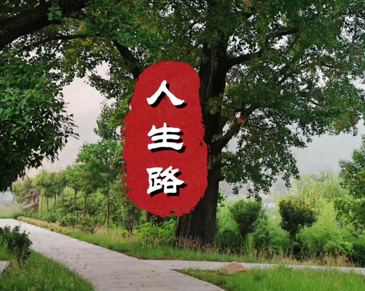 人生走的每一步都算数，别想着走捷径，也别心存侥幸，踏踏实实走道的人生最稳妥。
大
