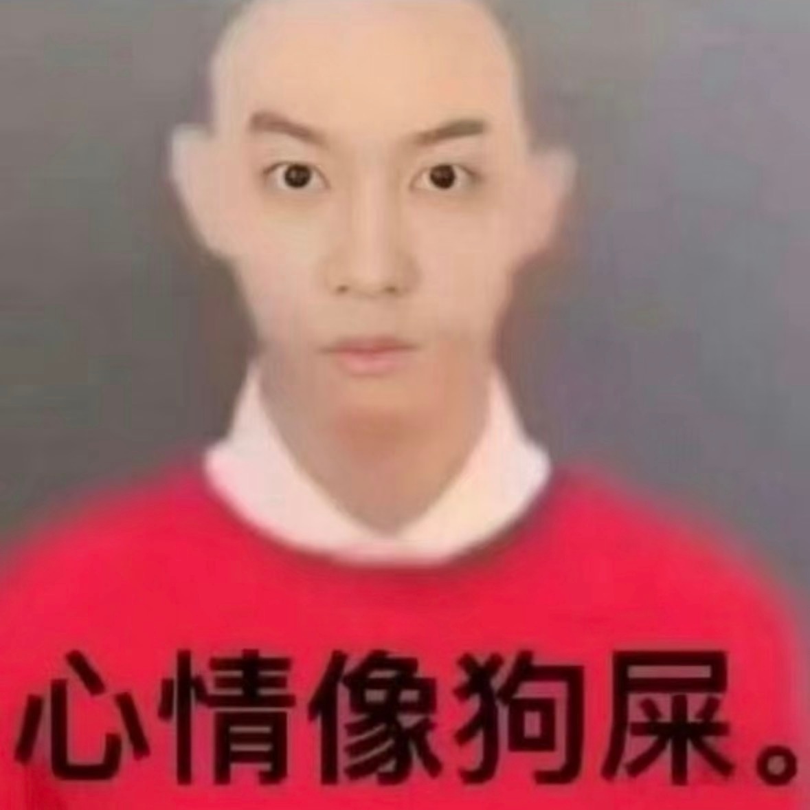 分享图片 